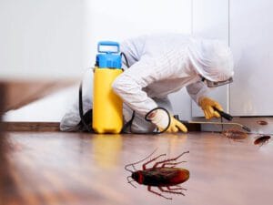 Pest Control Solutions by CSL 3