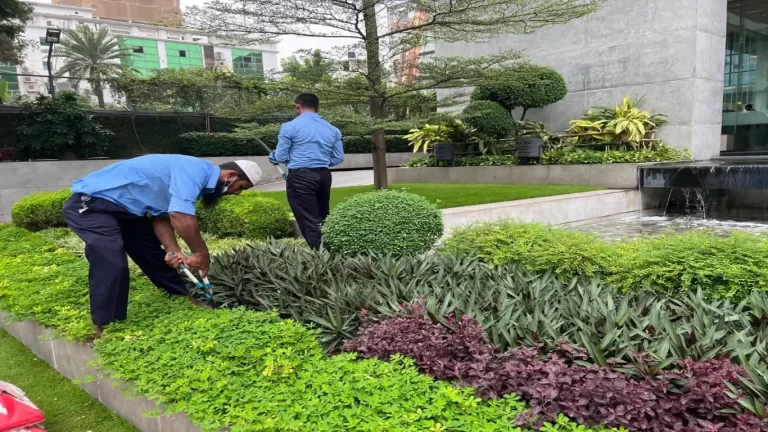 GARDENING & LANDSCAPING SERVICE 1