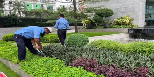 GARDENING & LANDSCAPING SERVICE 1