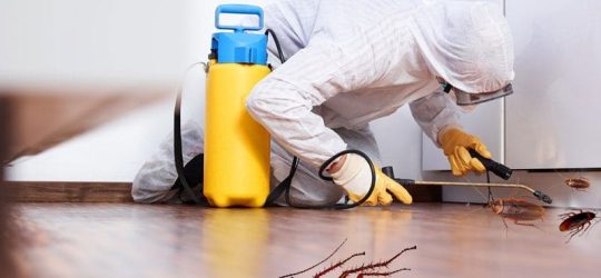 Pest Control Solutions by CSL 3