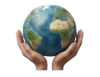 ngo
